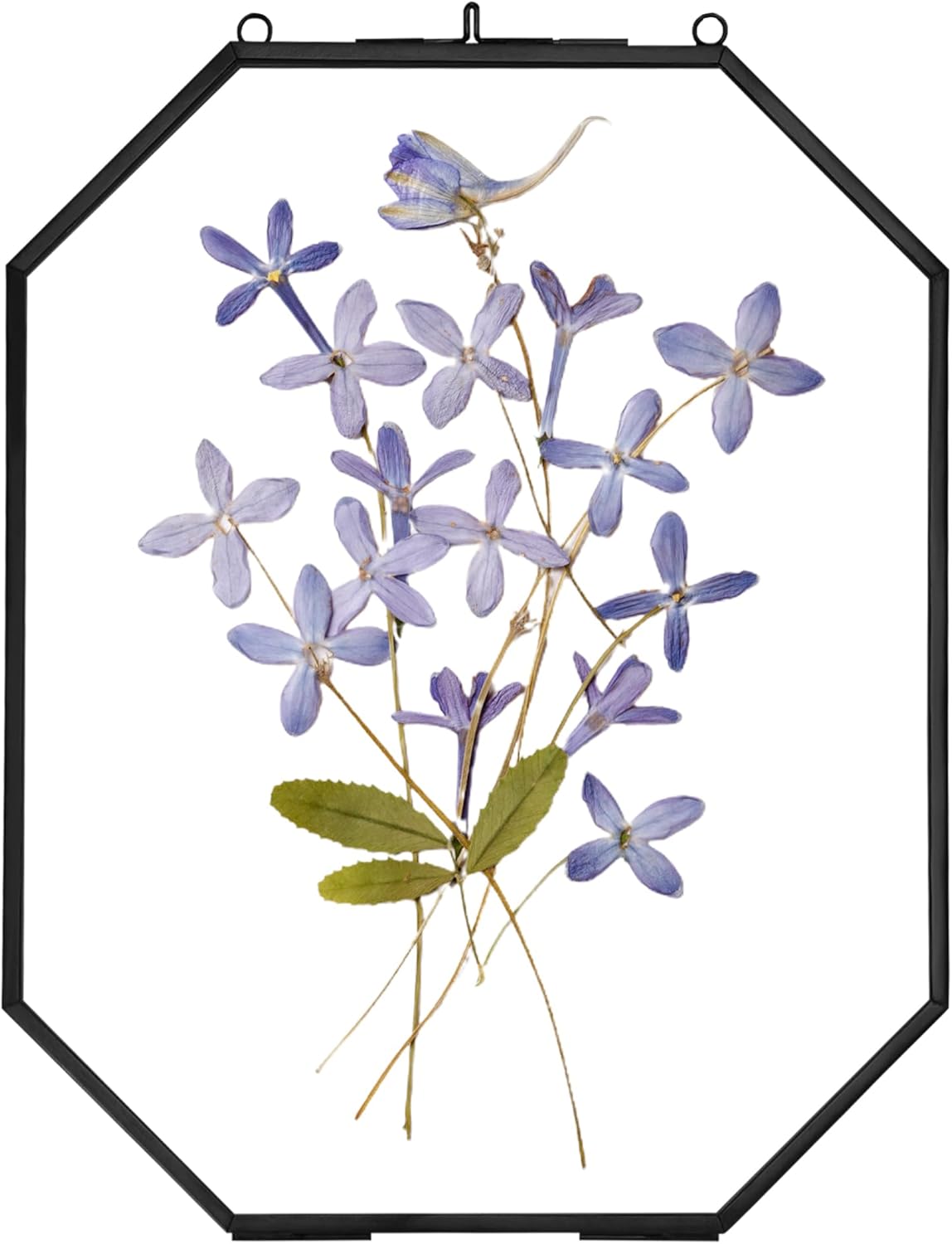 Pressed Flower Frames with Brass Accents 8x10 Inches