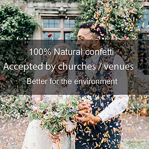 Homeemoh Party Confetti Natural Dried Rose Petals 12 Packs Biodegradable