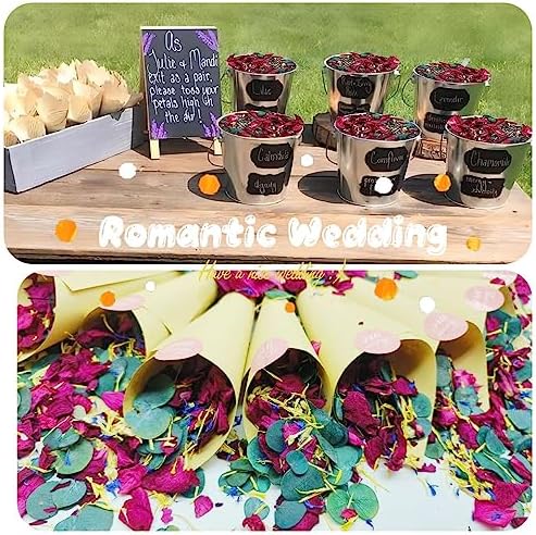Koceko 2 Quart Dried Rose and Eucalyptus Confetti Mix