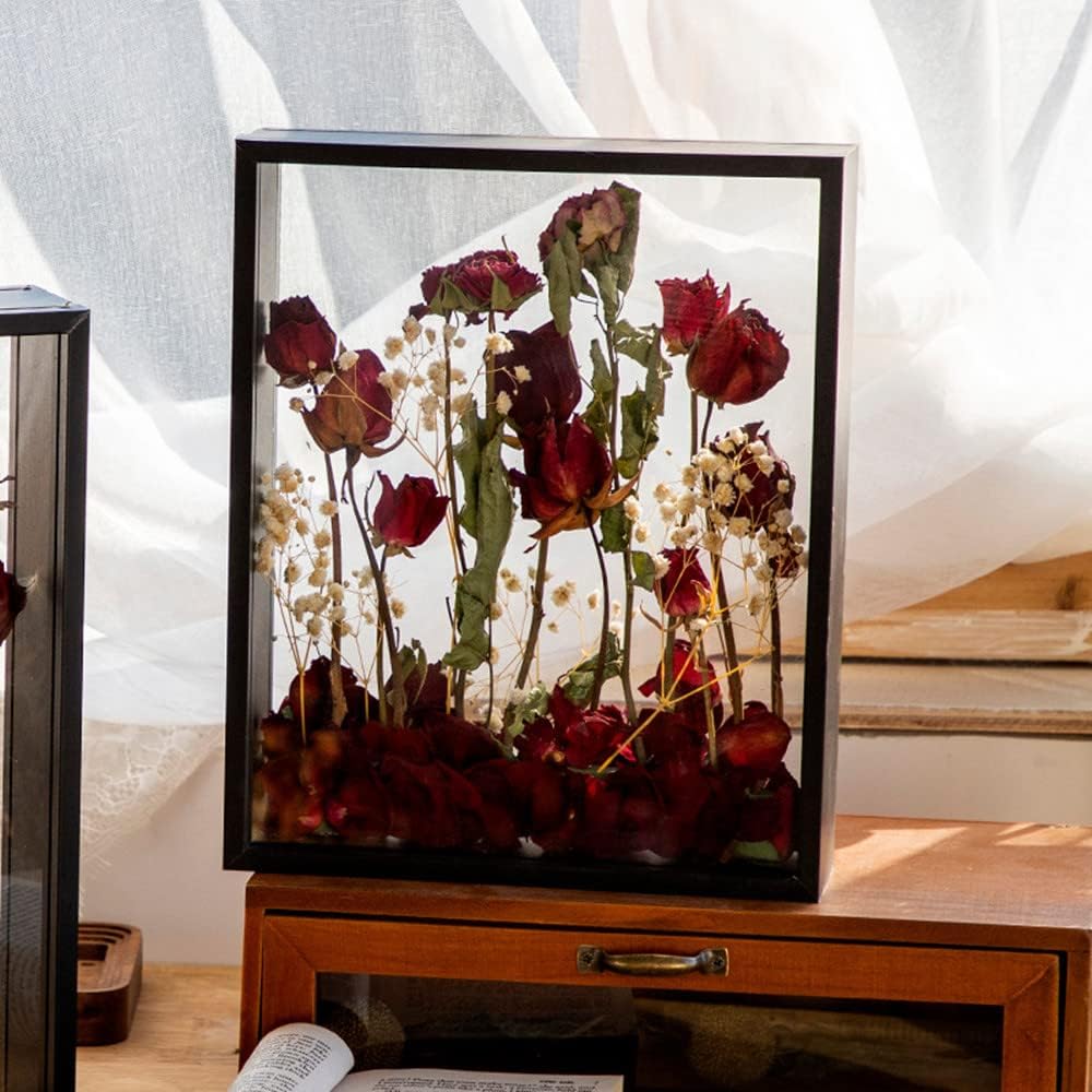 Wooden Dried Flower Display Stand - Clear Double-sided Frame