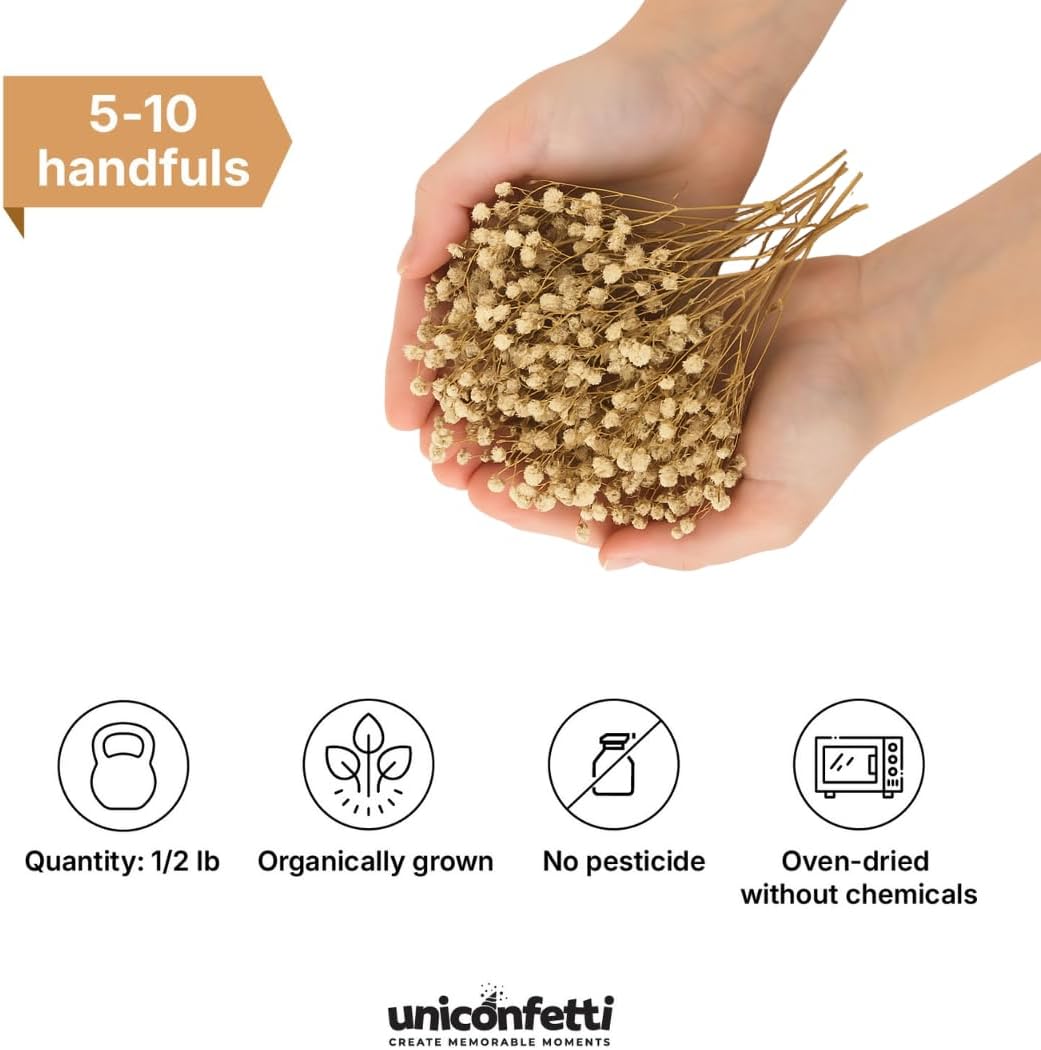 Dried Babys Breath Confetti - Biodegradable Wedding Decoration 8oz Box