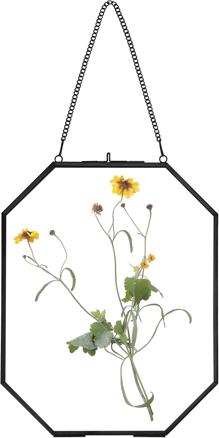Pressed Flower Frames with Brass Accents 8x10 Inches