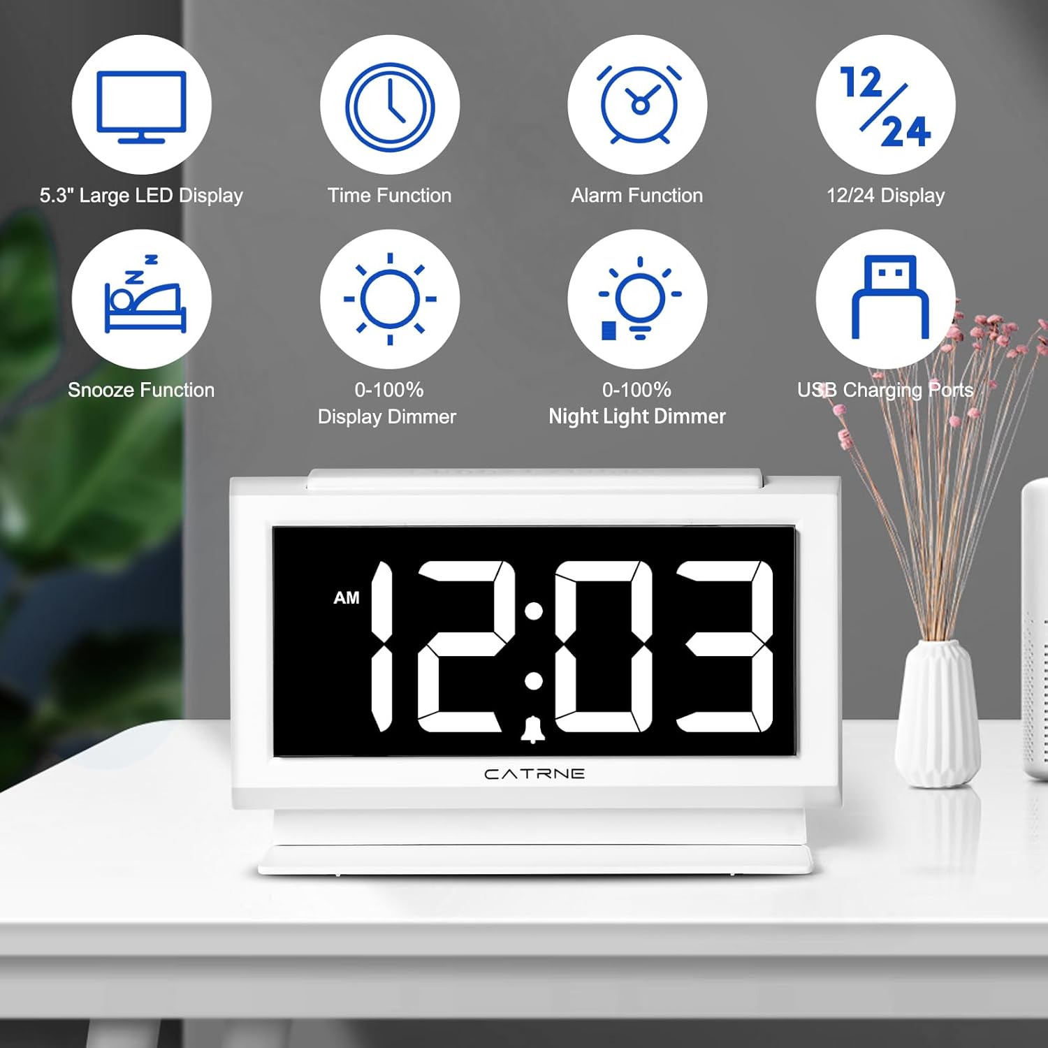 Catrne Digital Alarm Clock with 53 LED Display and USB Charging