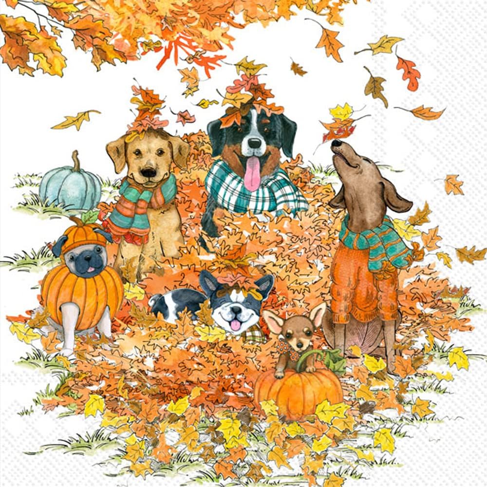 Ihr Ideal Home Range Cocktail Napkins 5x5 20-Count Autumn Dogs