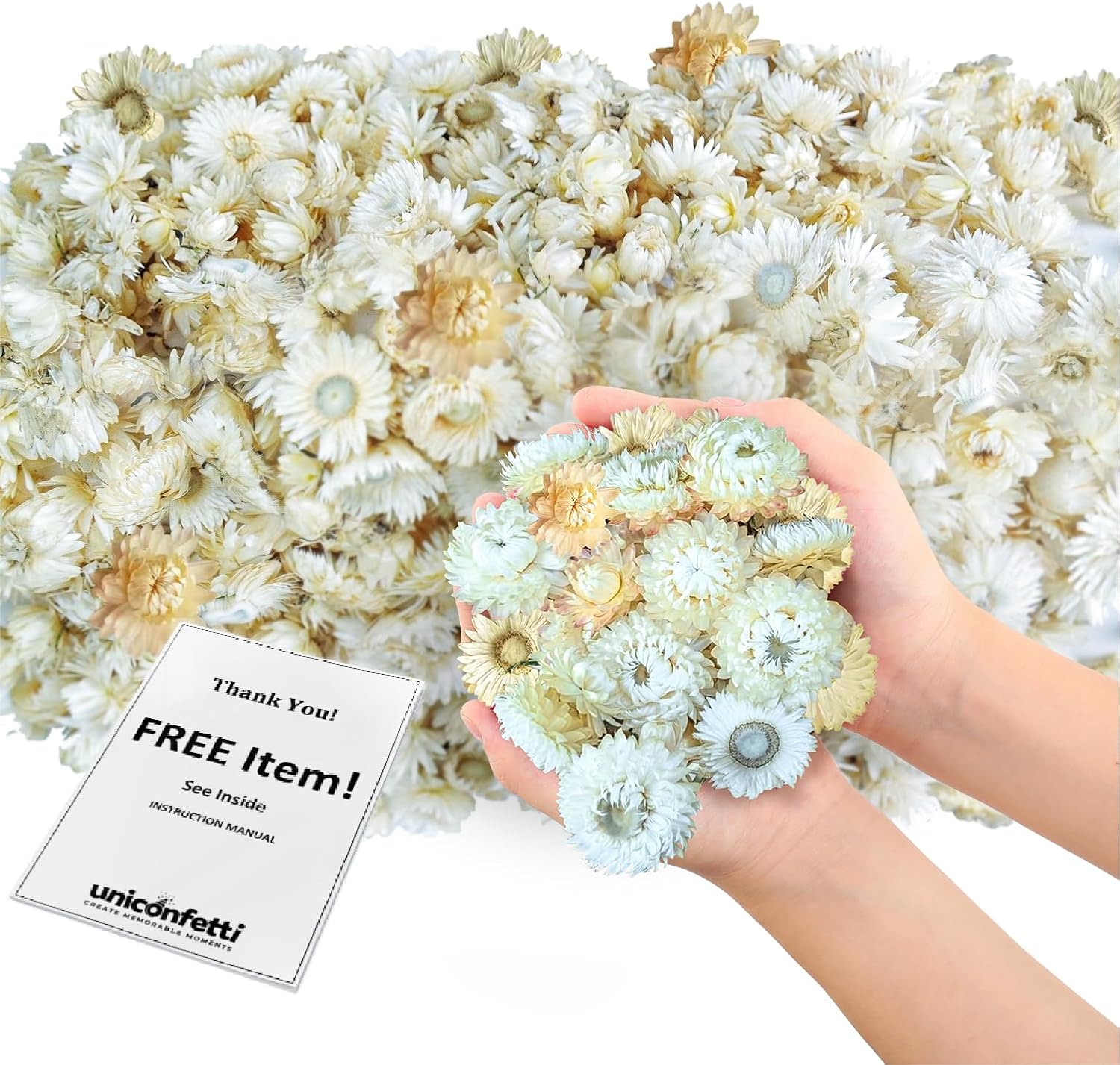 JAPJA Dried White Daisy Biodegradable Confetti - 8oz Boxed for Weddings and Parties