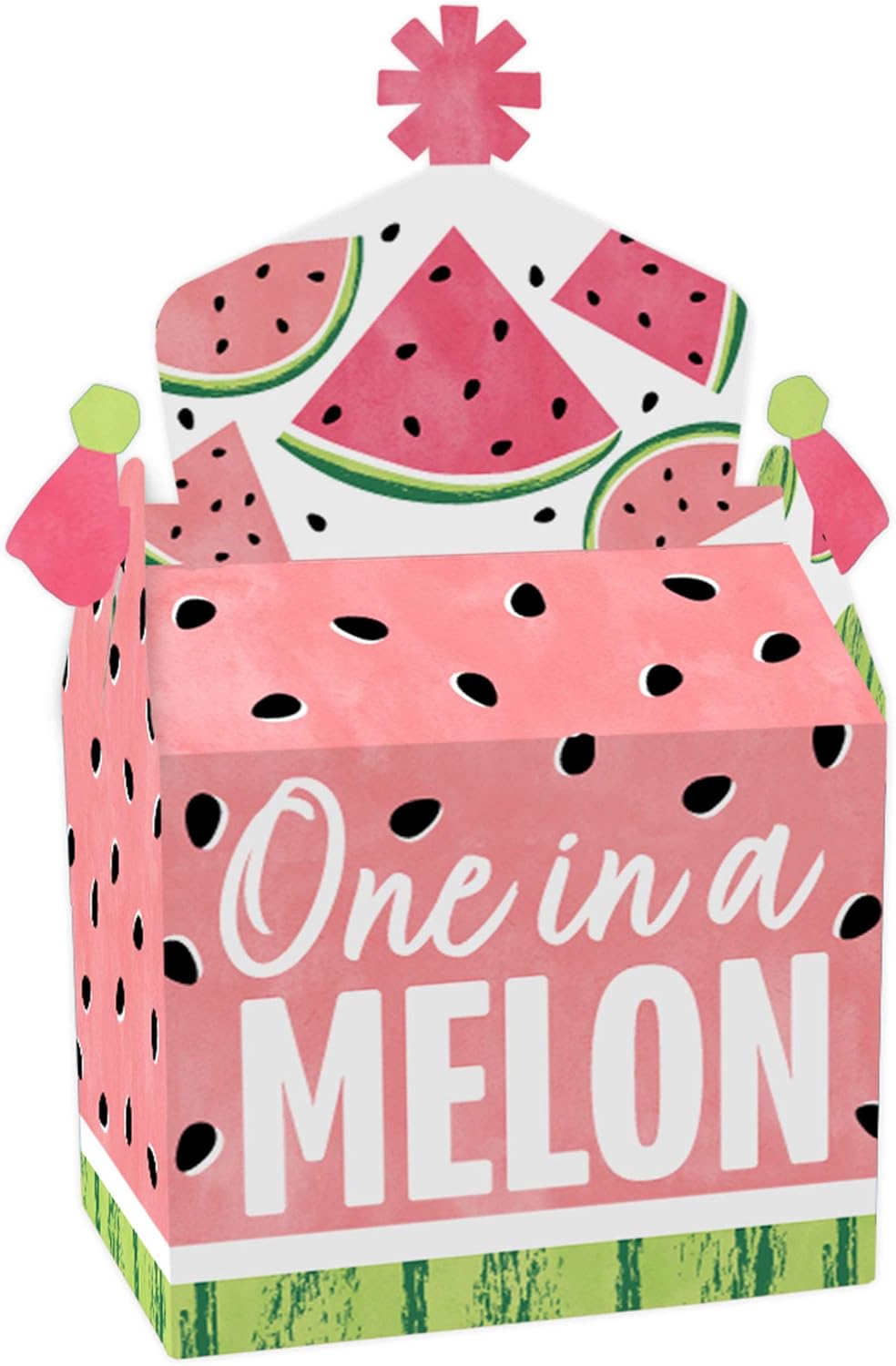 Big Dot of Happiness Sweet Watermelon Treat Box Set of 12