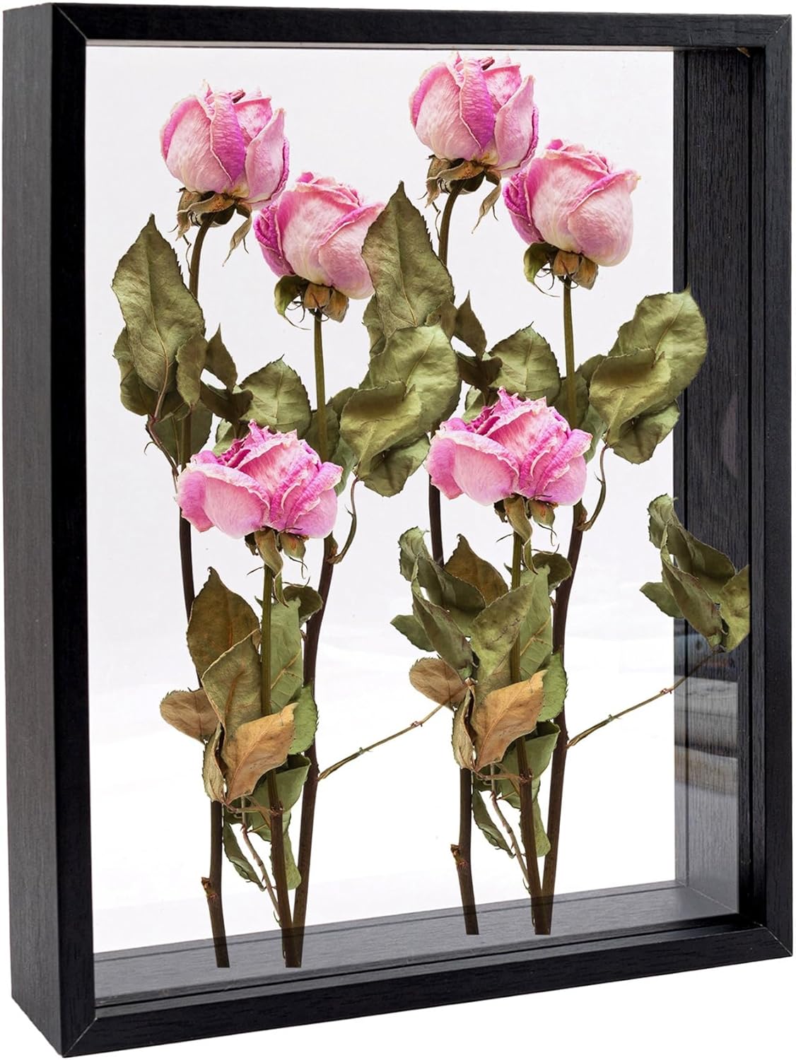 Framendino Black Wooden Dried Flower Frame Shadow Box 8x10 Double Acrylic Picture