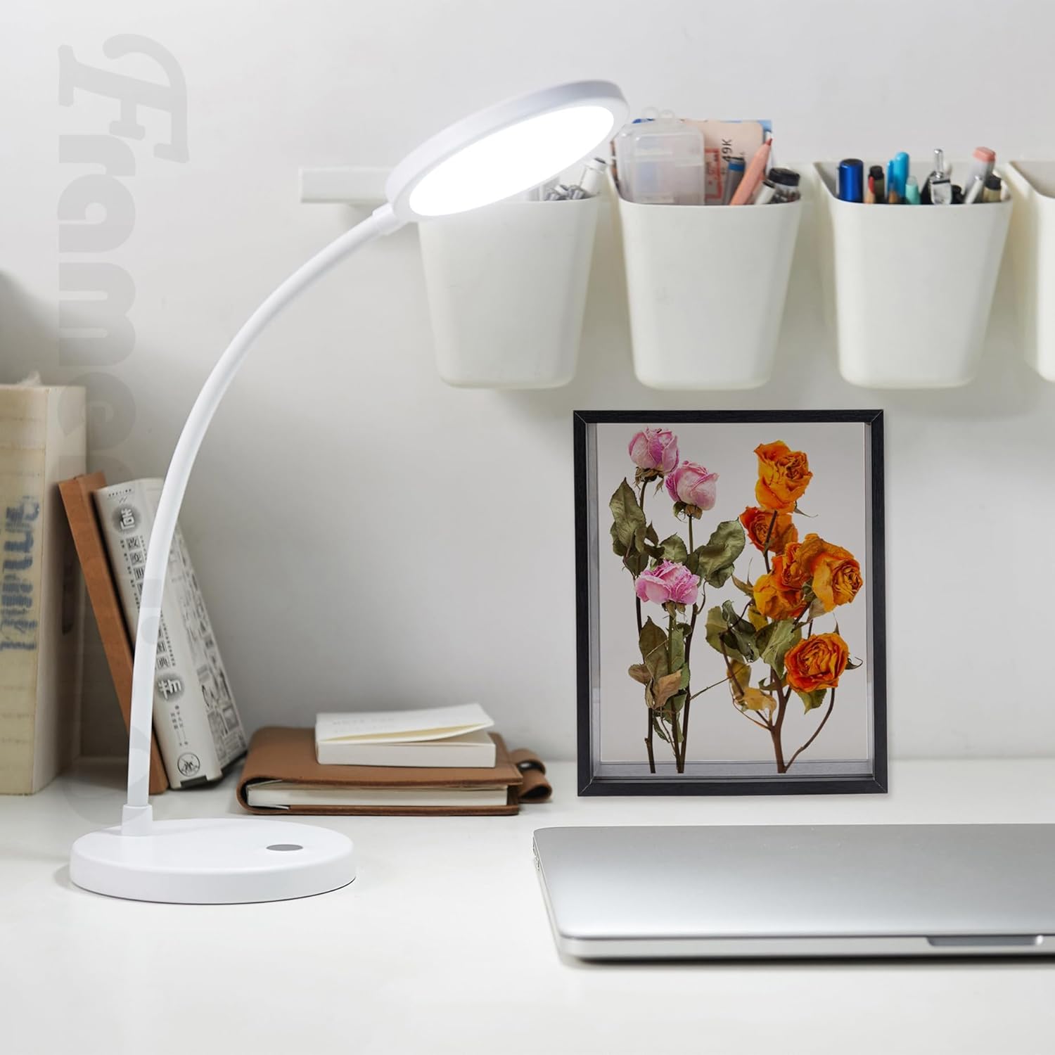 Framendino Black Wooden Dried Flower Frame Shadow Box 8x10 Double Acrylic Picture