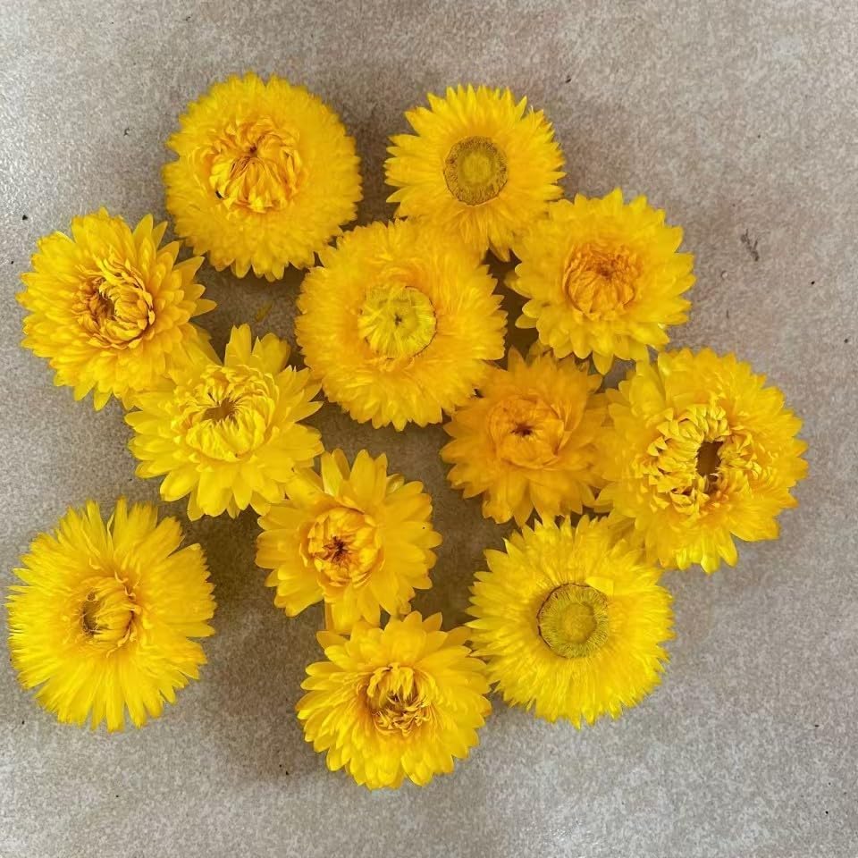 Dried Yellow Straw Daisy Biodegradable Confetti - 8oz Boxed