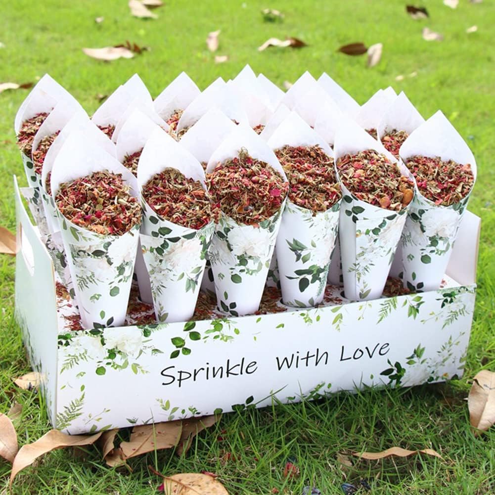 30 Pieces Biodegradable Confetti Cones and Stand Tray Box Green