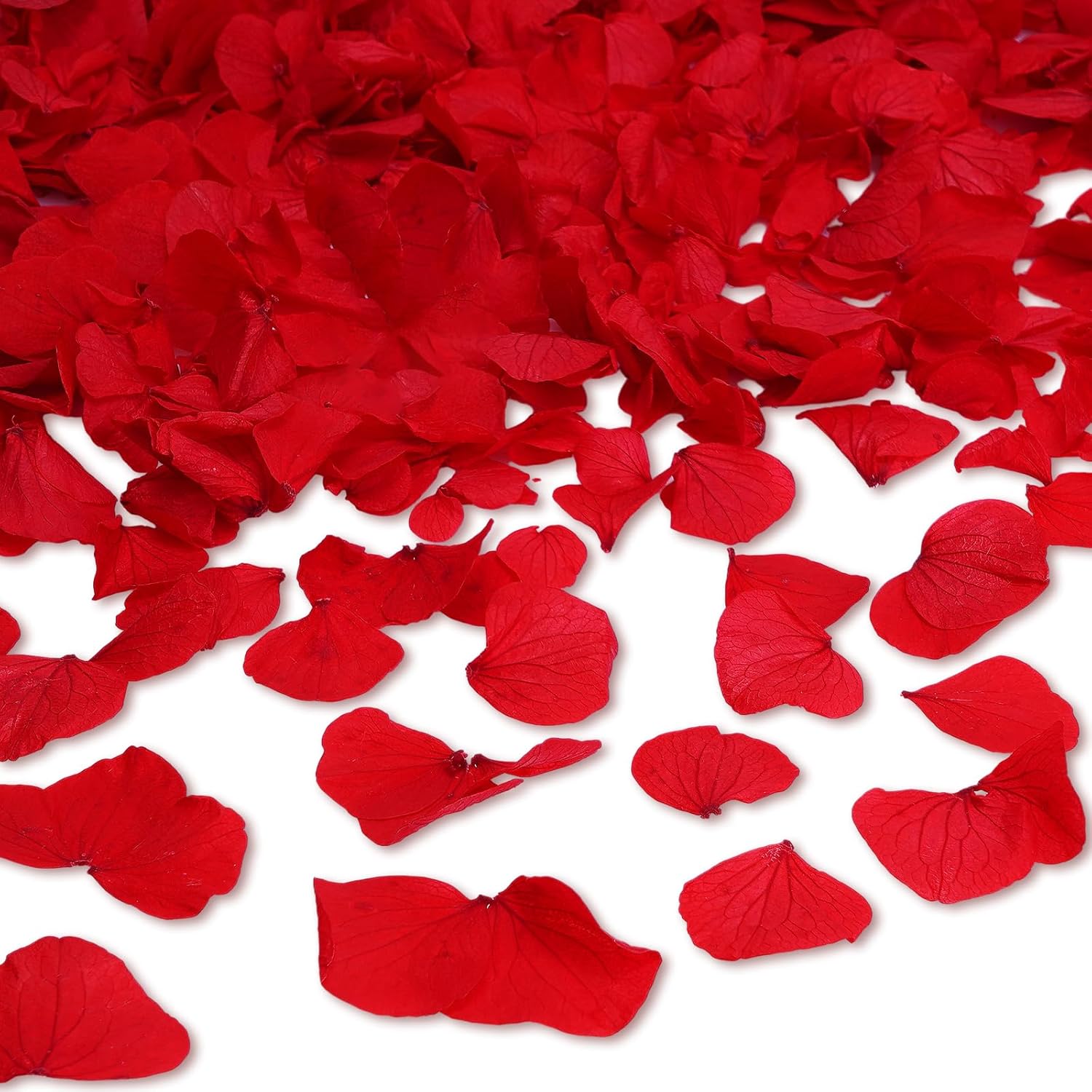 eZAKKA 1500pcs Real Dried Hydrangea Petals Red
