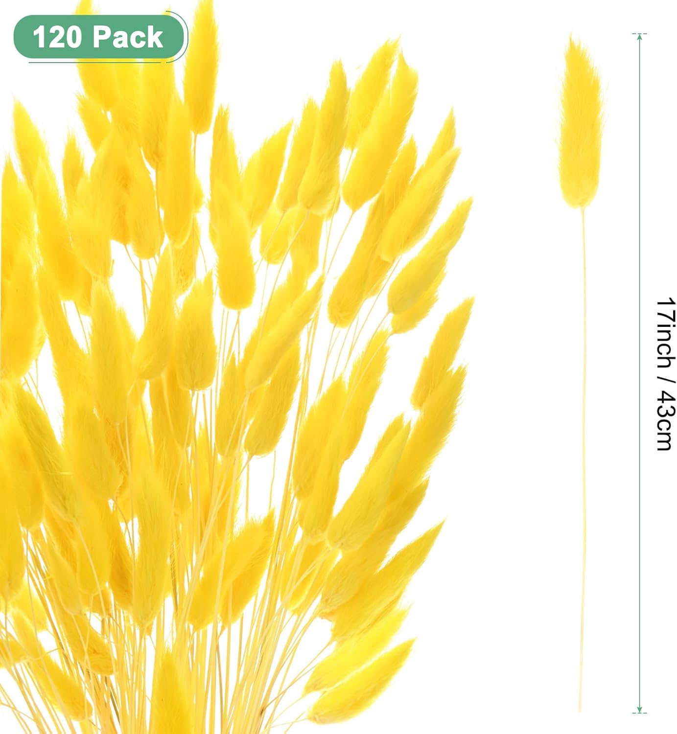 17 Inch Golden Yellow Dried Bunny Tails Grass Decor