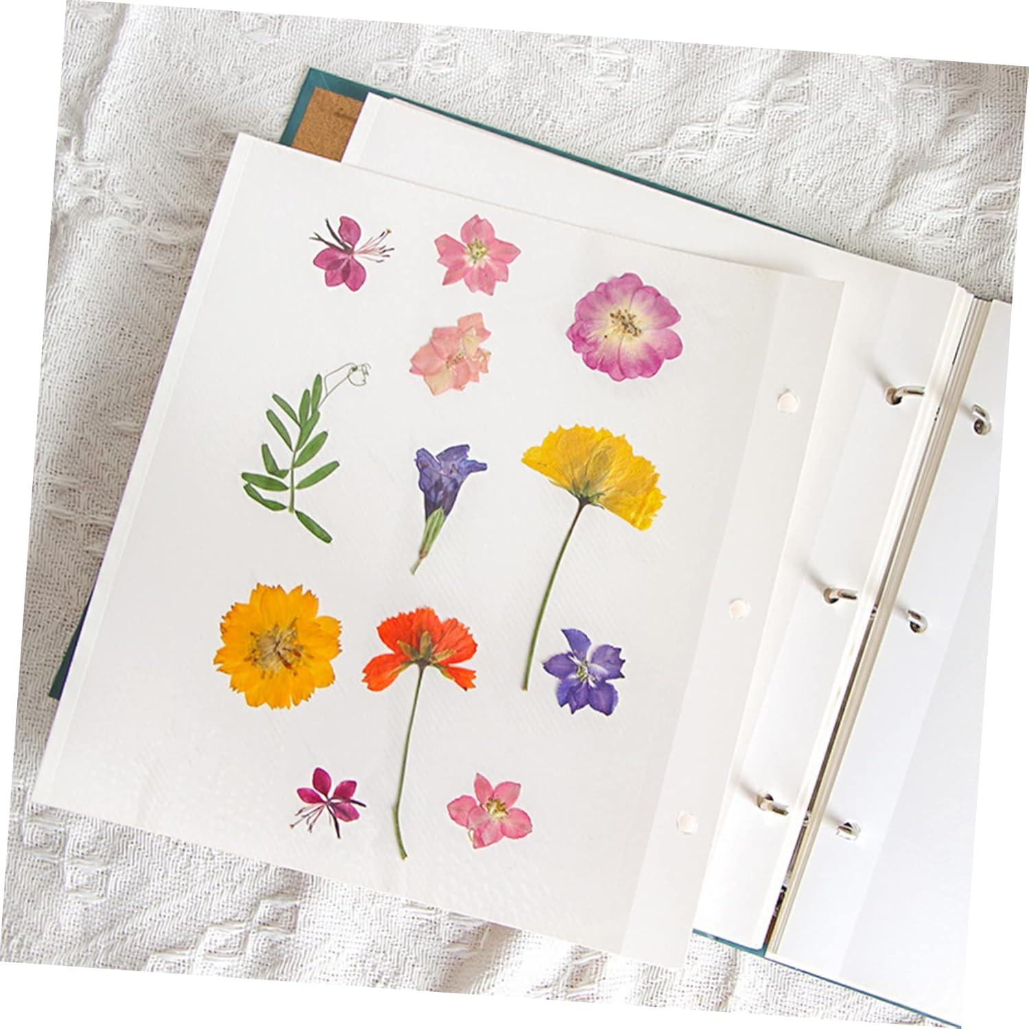 Pressed Dried Flowers Storage Pouch Travel Organizer Album