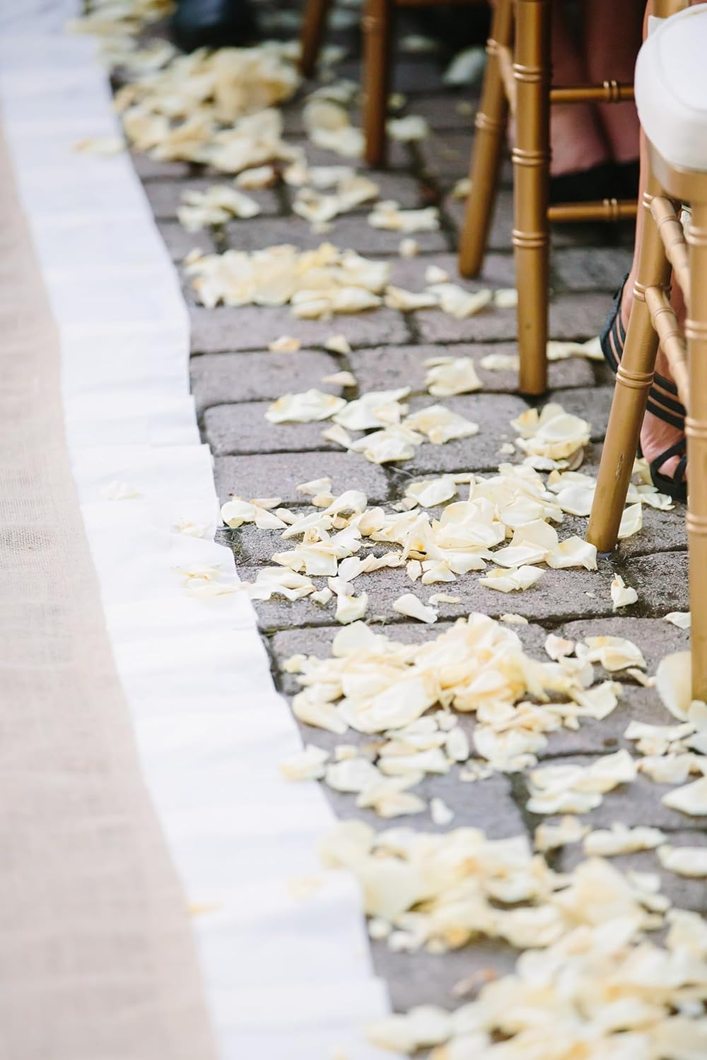 Petal Garden Freeze Dried Rose Petals 60 Cups Ivory