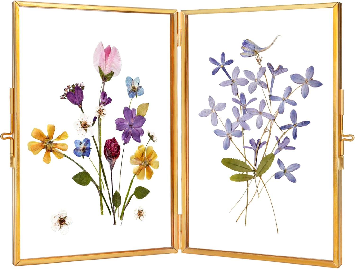 Redhugo Brass Pressed Flower Frame 4x6 Inches