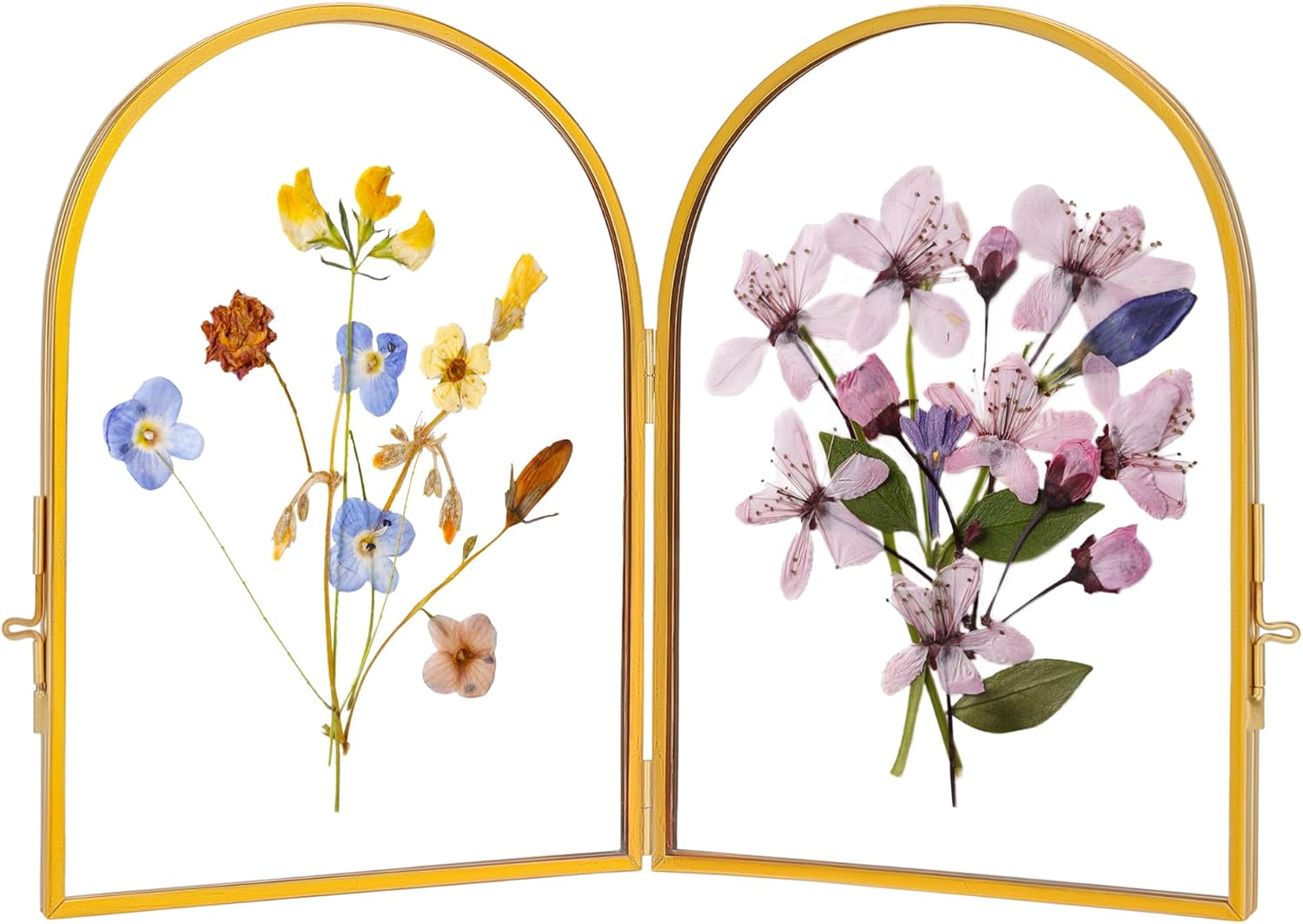Double Glass Frame for Pressed Flowers Brass 4x6 Inches