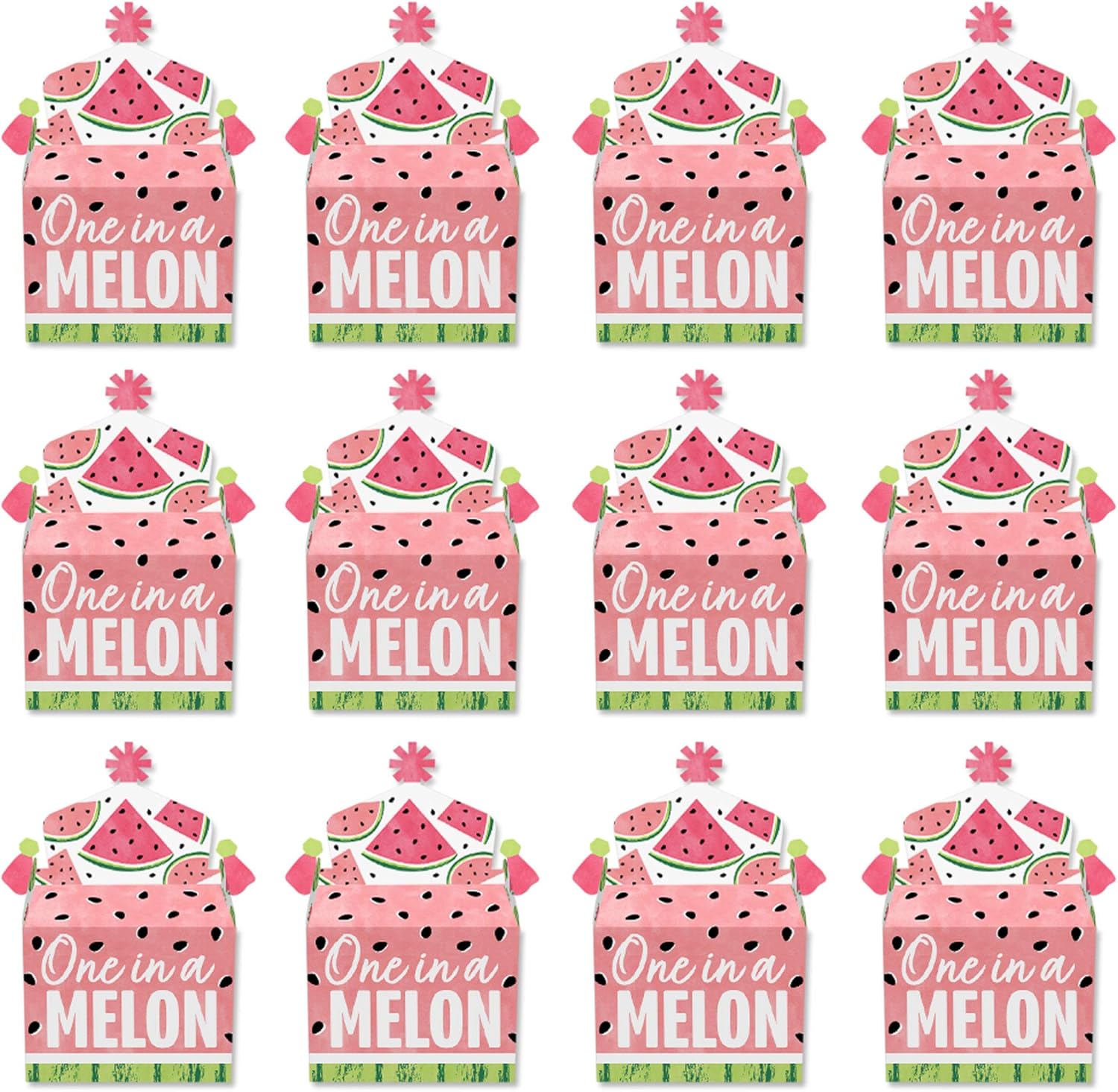 Big Dot of Happiness Sweet Watermelon Treat Box Set of 12