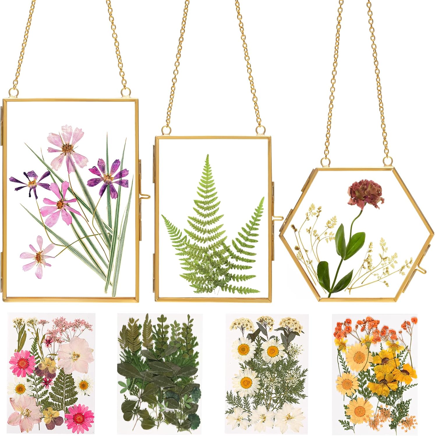 Double Glass Frame with Real Dried Flowers and Tweezer for Crafts