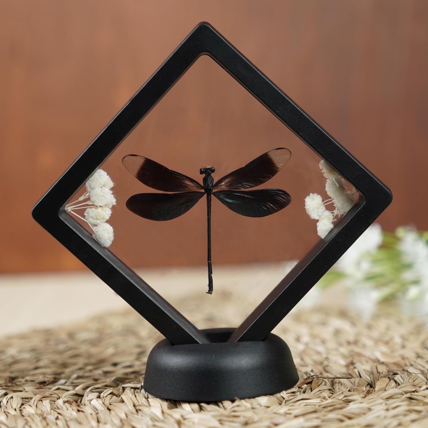 Real Black Dragonfly 3D Plastic Framed Display
