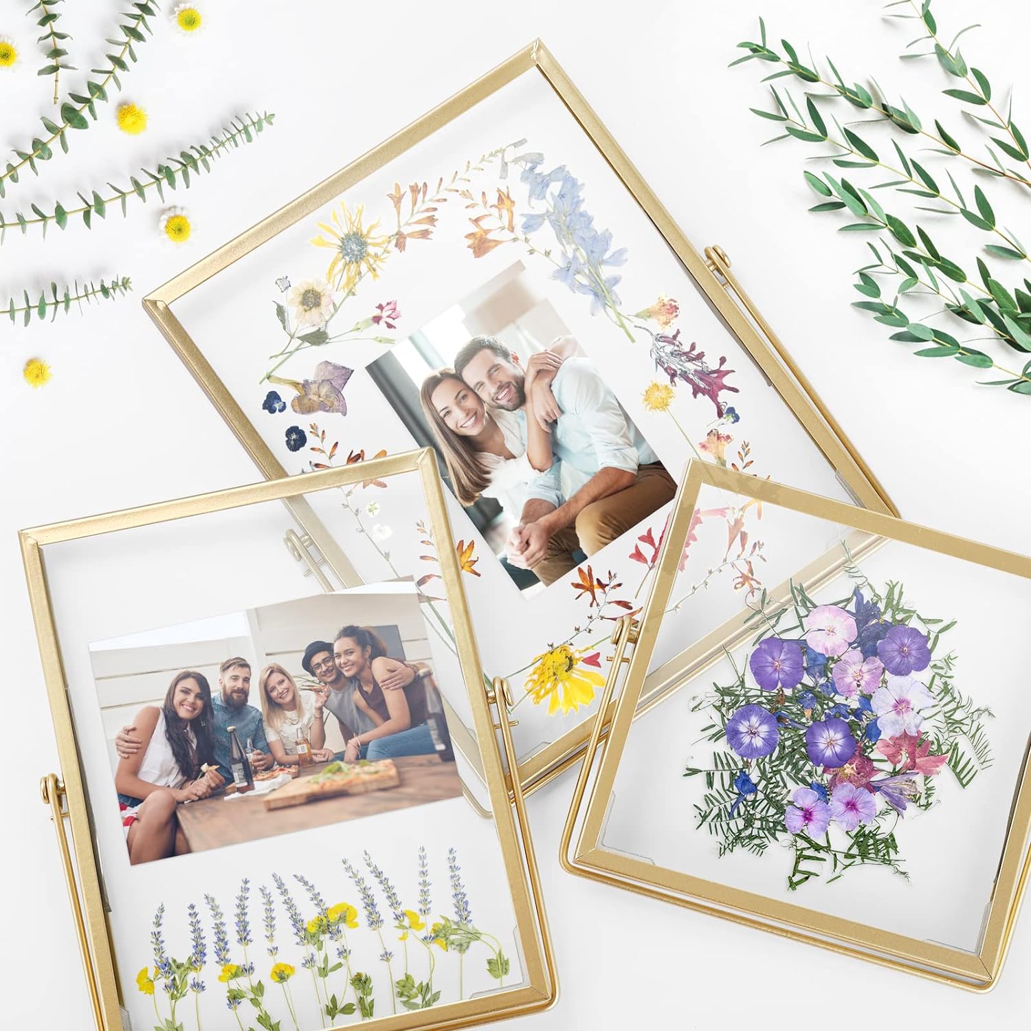 Gold Floating Frame Set with 68 Dried Flowers and Tweezer