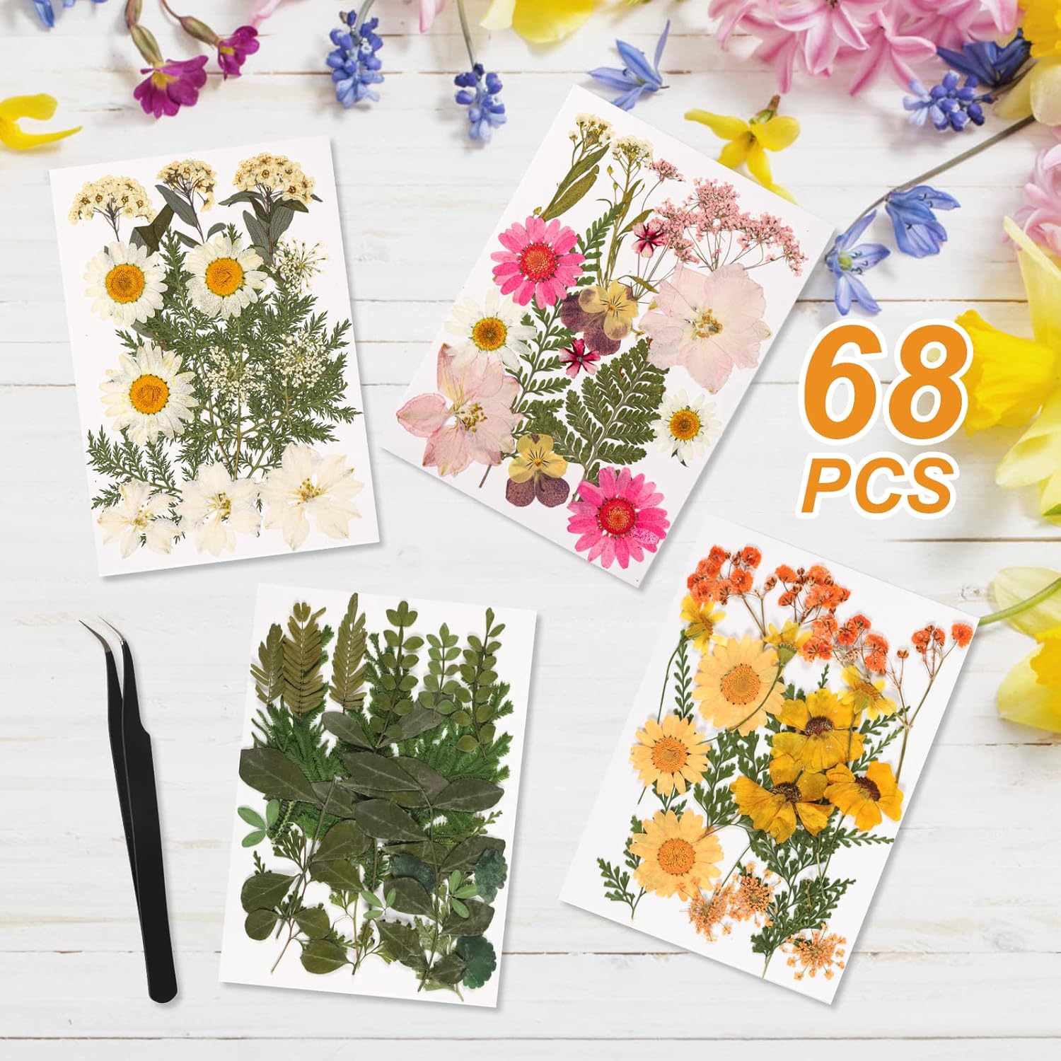 Double Glass Frame with Real Dried Flowers and Tweezer for Crafts