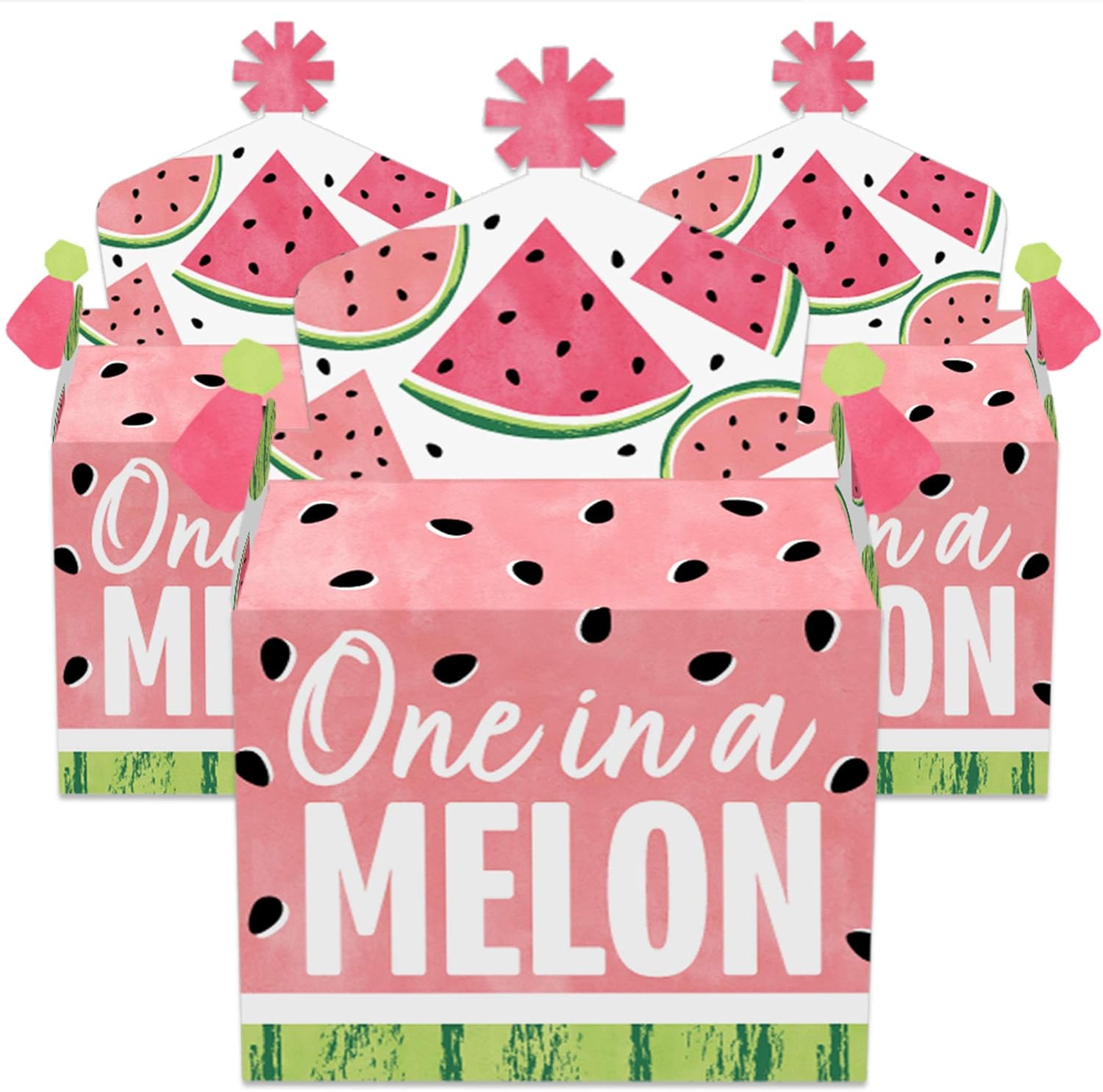 Big Dot of Happiness Sweet Watermelon Treat Box Set of 12