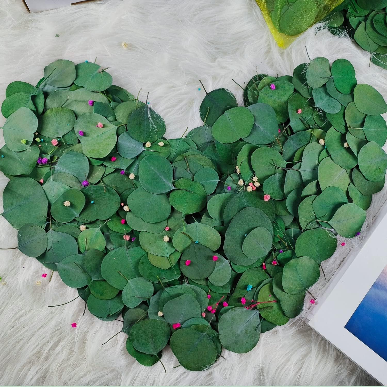 400 Pcs Dried Eucalyptus Leaves for Decor and Gifts