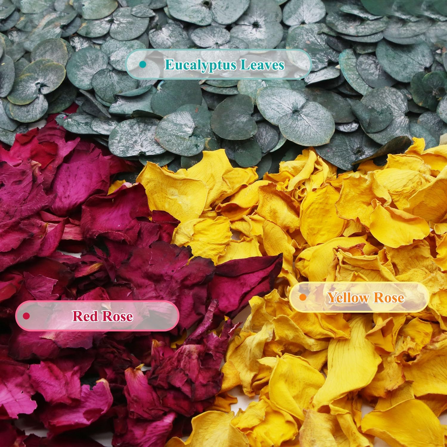 2 Quart Mix Biodegradable Flower Petals Confetti