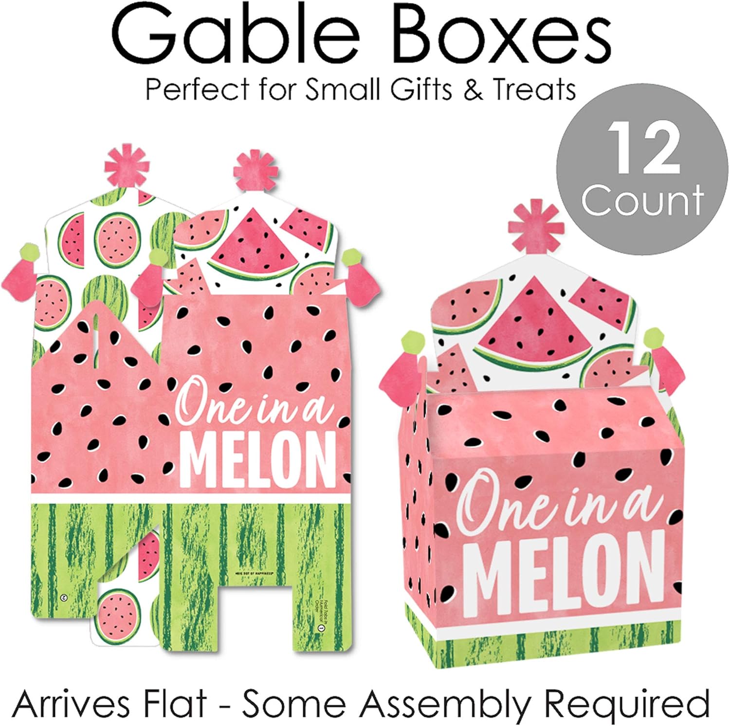 Big Dot of Happiness Sweet Watermelon Treat Box Set of 12