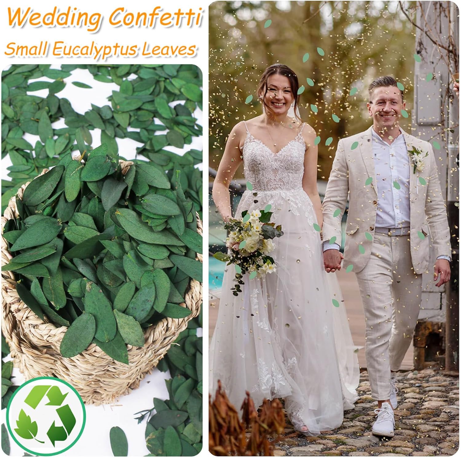 Koceko 3500 Preserved Eucalyptus Leaves - Natural Biodegradable Confetti for Events