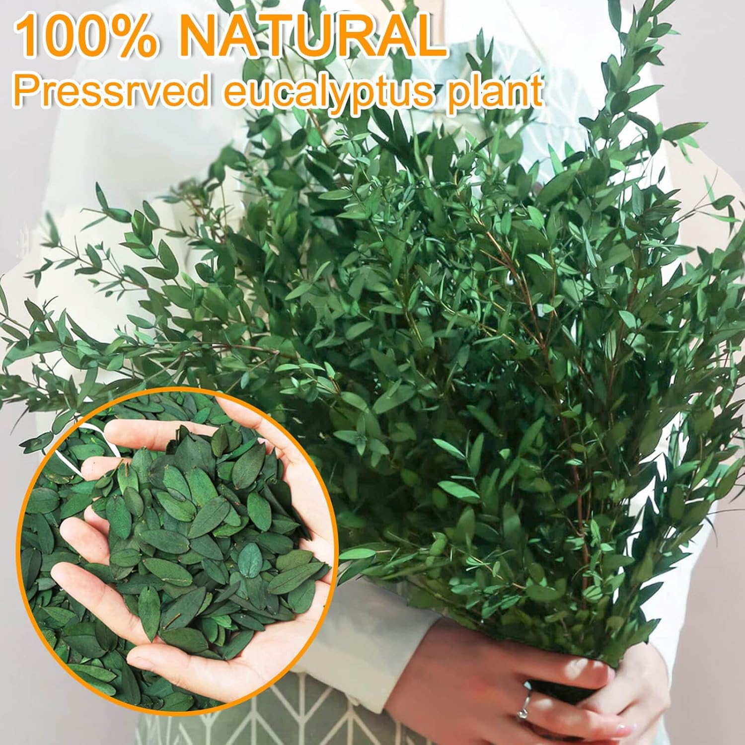 Koceko 3500 Preserved Eucalyptus Leaves - Natural Biodegradable Confetti for Events