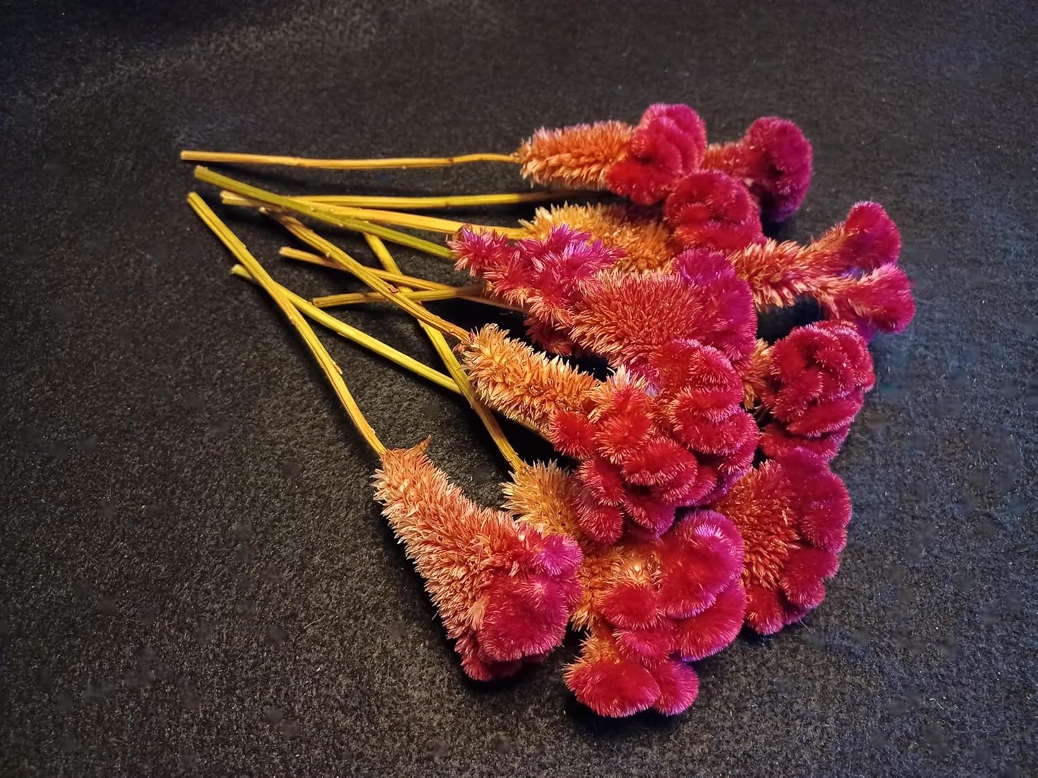 10 Red Celosia Cockscomb Dried Flowers 8 Inch